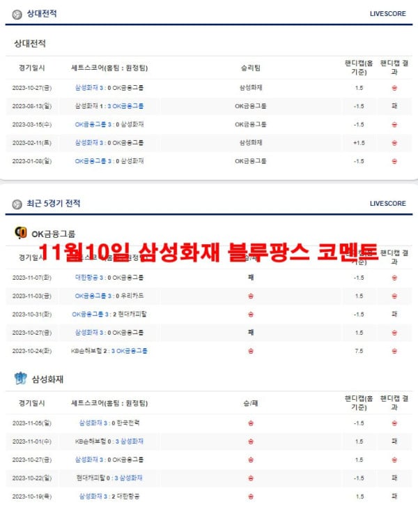 11월10일 삼성화재 블루팡스 코멘트