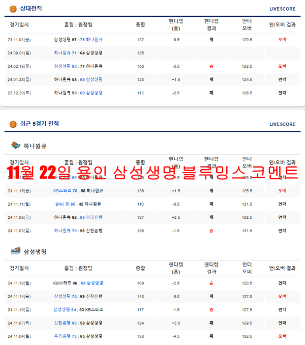 11월 22일 용인 삼성생명 블루밍스 코멘트