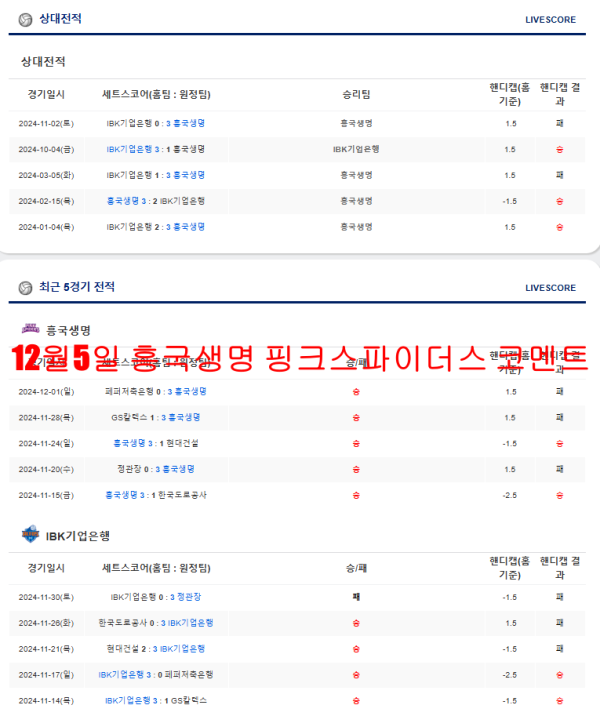 12월5일 흥국생명 핑크스파이더스 코멘트