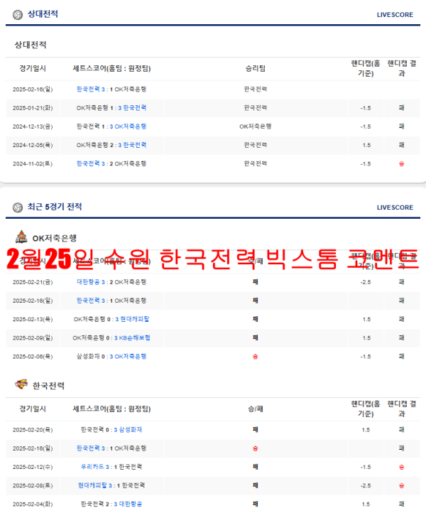 2월25일 수원 한국전력 빅스톰 코멘트