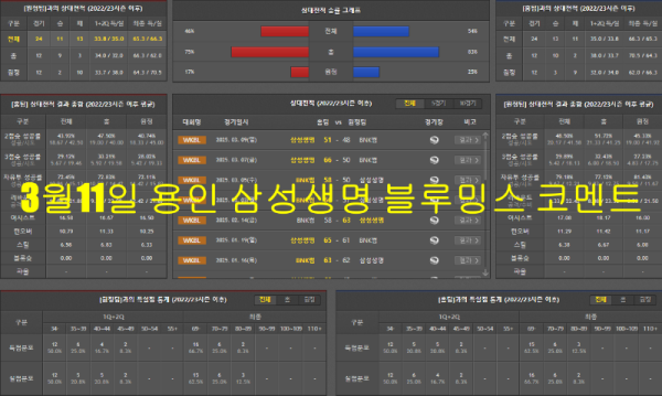 3월11일 용인 삼성생명 블루밍스 코멘트